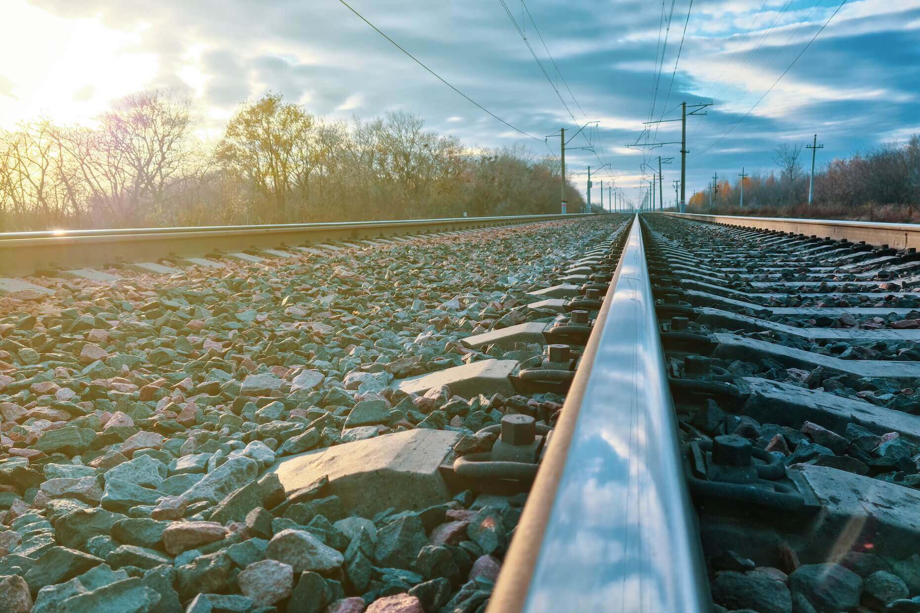 失踪者捜索・家出調査